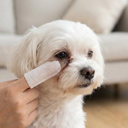 3-in-1 Pet Hygiene Wipes [50 count]